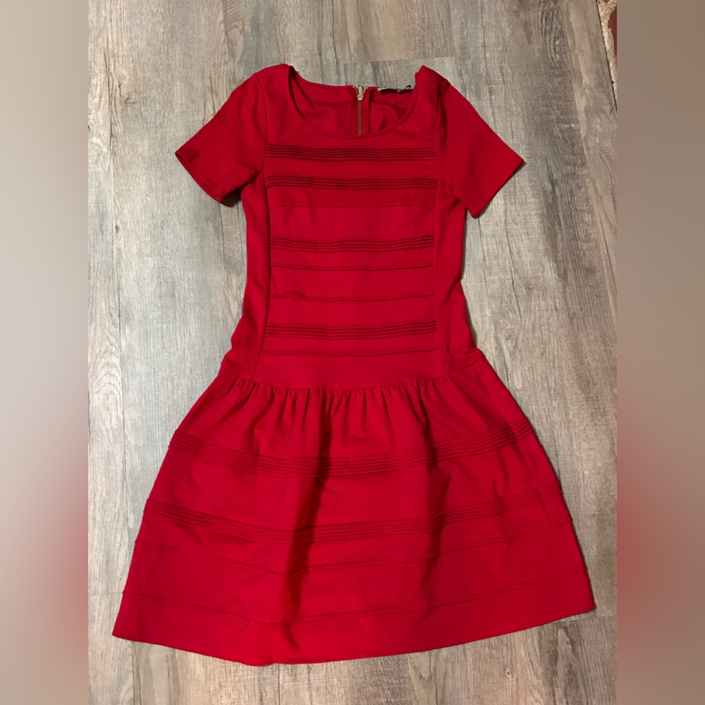 Eliza J Vibrant Red striped Dress